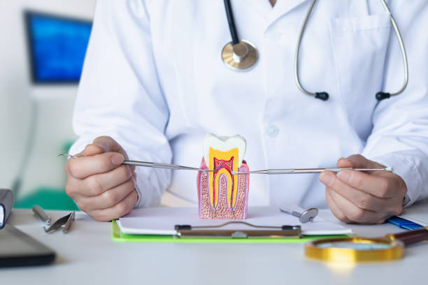 Professional Emergency Dental Service in TN